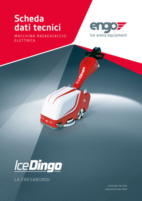 IceDingo_IT